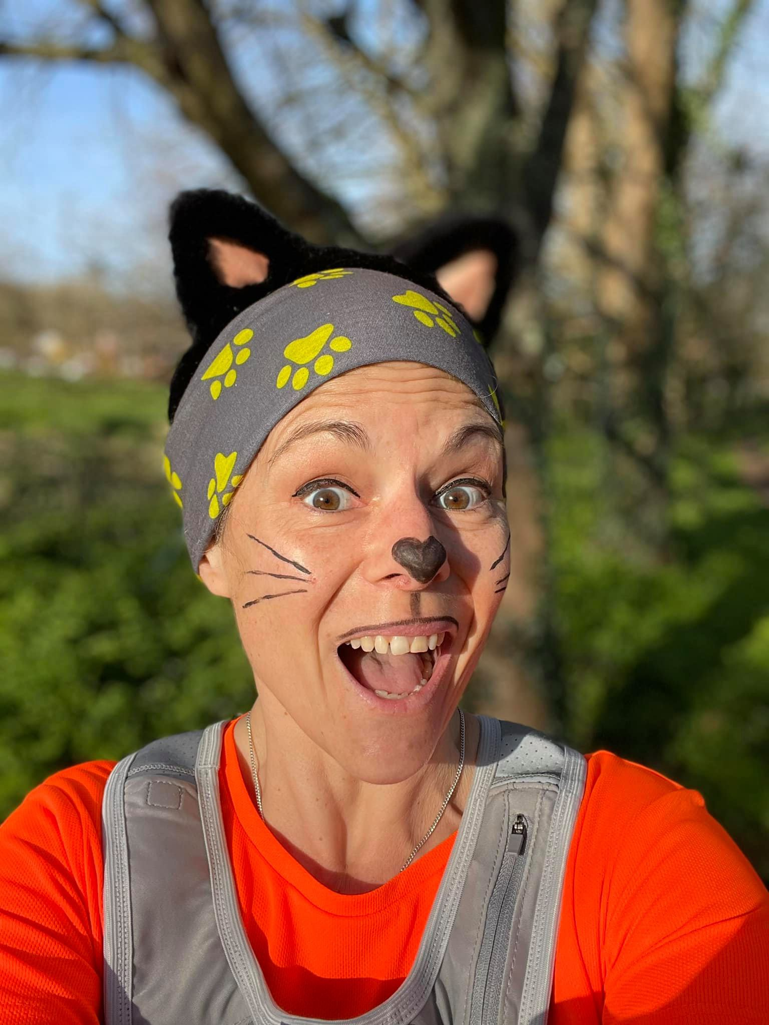 Register your own run for cats