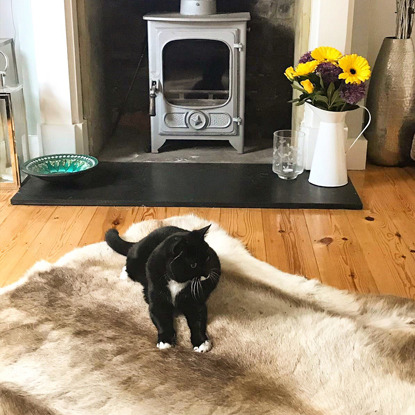 black and white cat on fur rug in living room