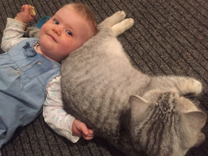 toddler cuddling with grey cat