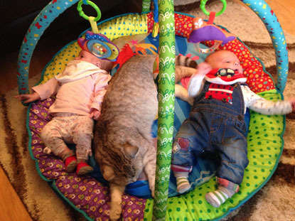 twin babies and grey cat on baby gym
