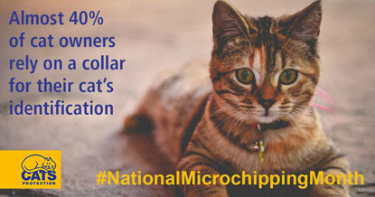 Tabby cat with the words 'Almost 40% of cat owners rely on a collar for their cat's identification' and 'National Microchipping Month'