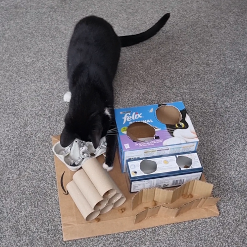 black-and-white cat playing with assortment of homemade cardboard puzzle feeders stuck to a sheet of cardboard on the floor