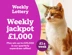 Weekly Lottery Cats Protection