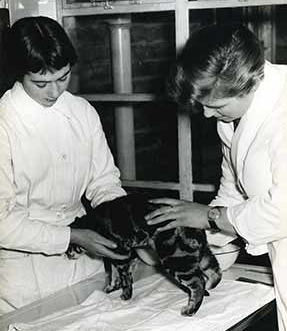 cats protection history
