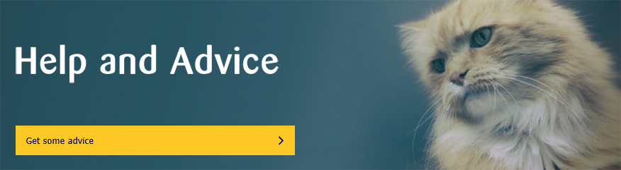 Help and Advice banner