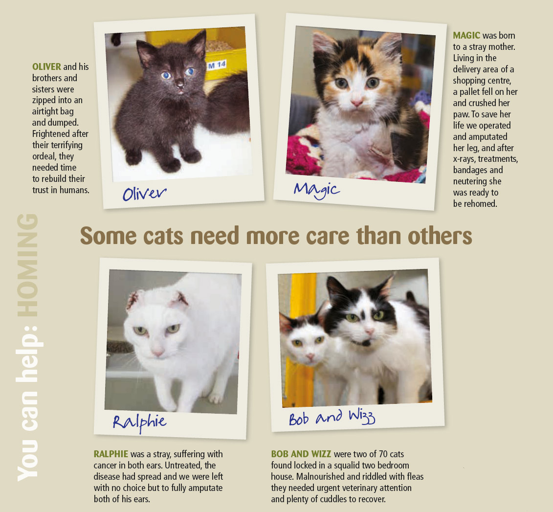 Some cats need more help