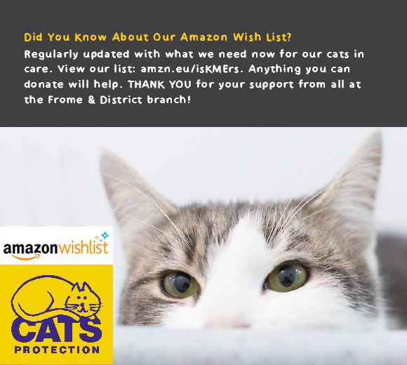 Amazon wish list