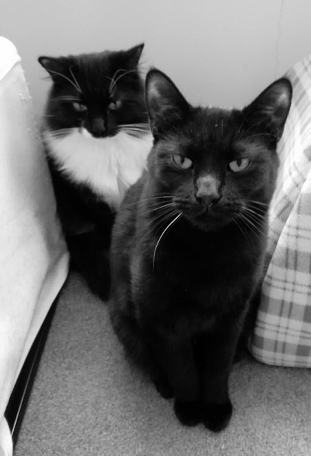 bertieandbadger