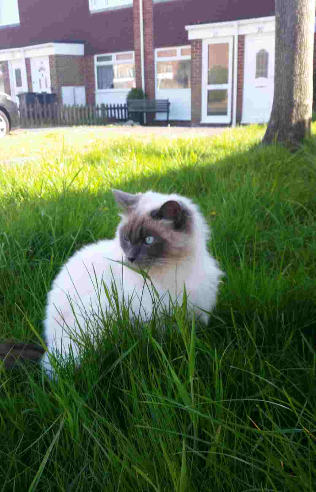 smudge2gsosport