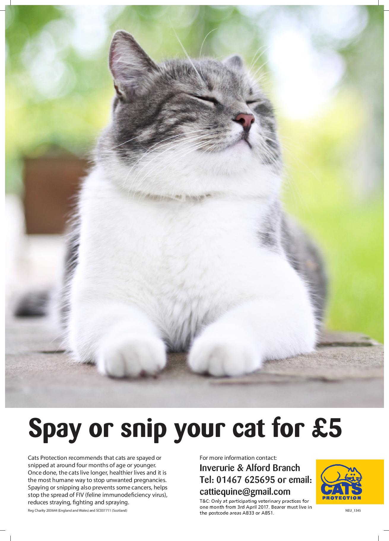 to Inverurie and Alford Cats Protection