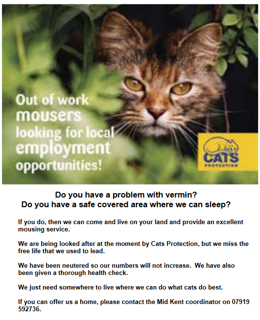 Cats Protection Mid Kent Branch