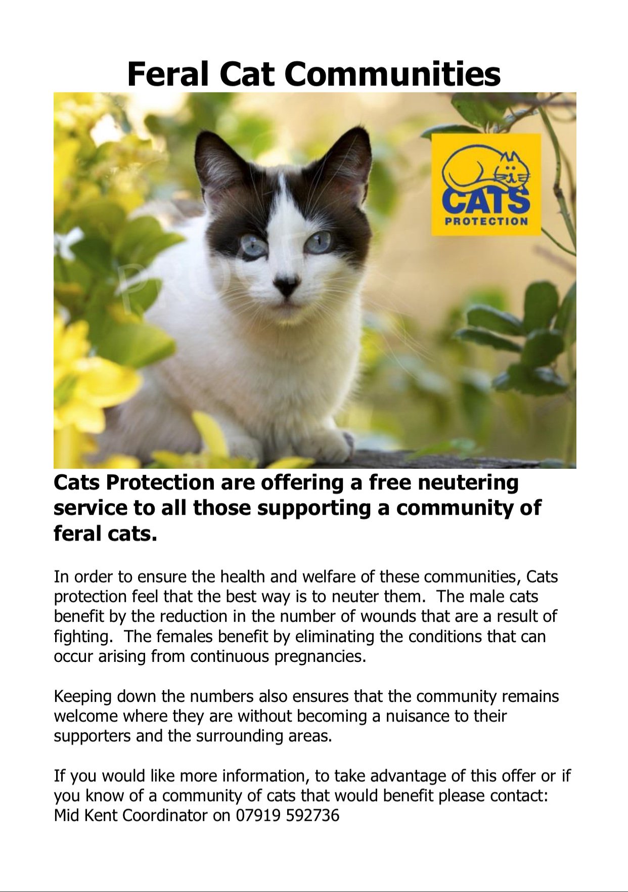 Cats Protection Mid Kent Branch