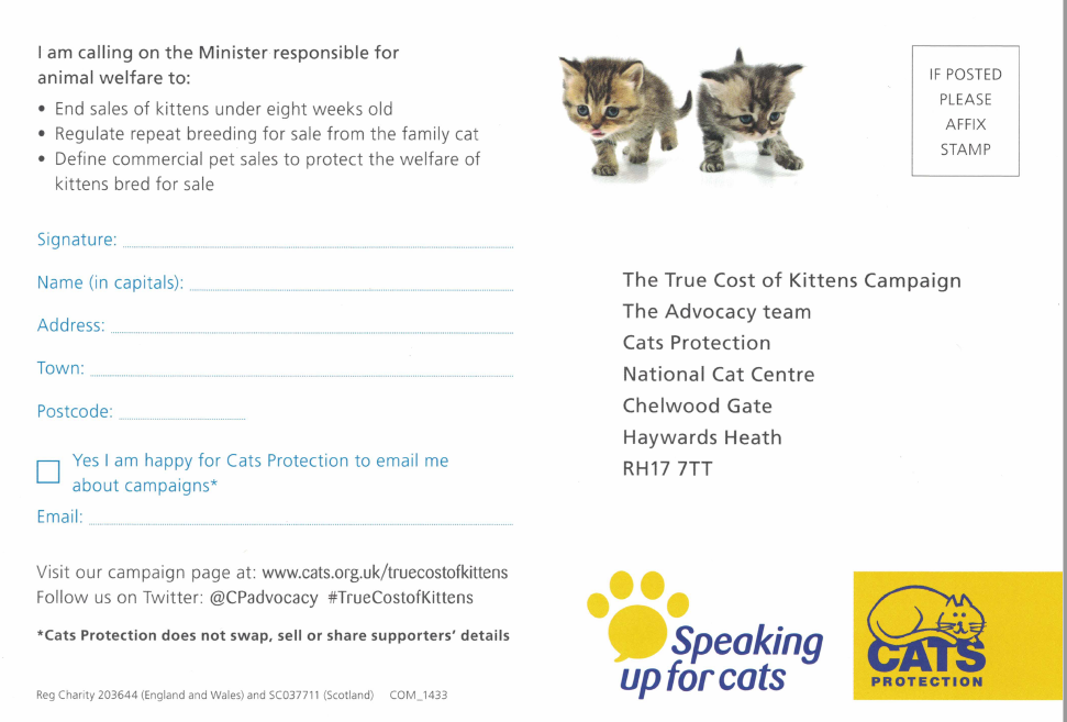 Cats Protection Maidstone Branch