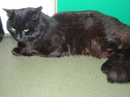 Luther - Lovely Boy
