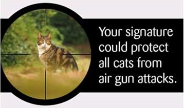 Cats are in the sights of unregulated air gun users