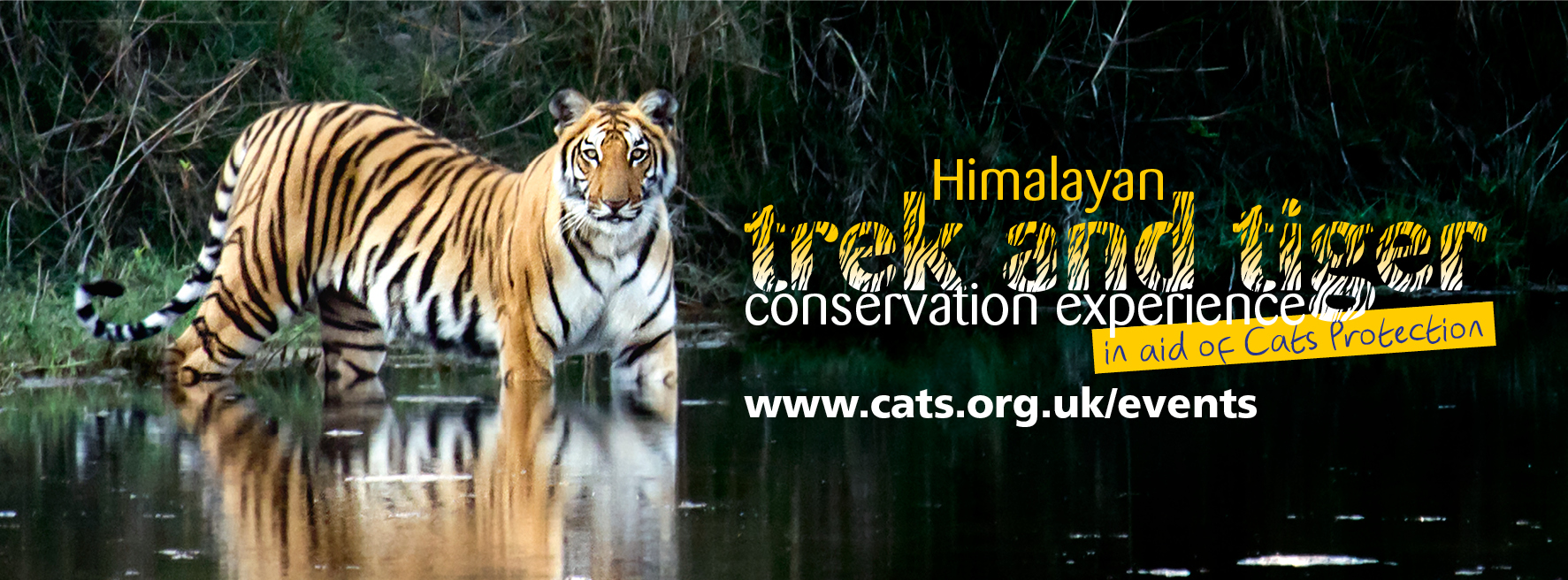 tiger trek