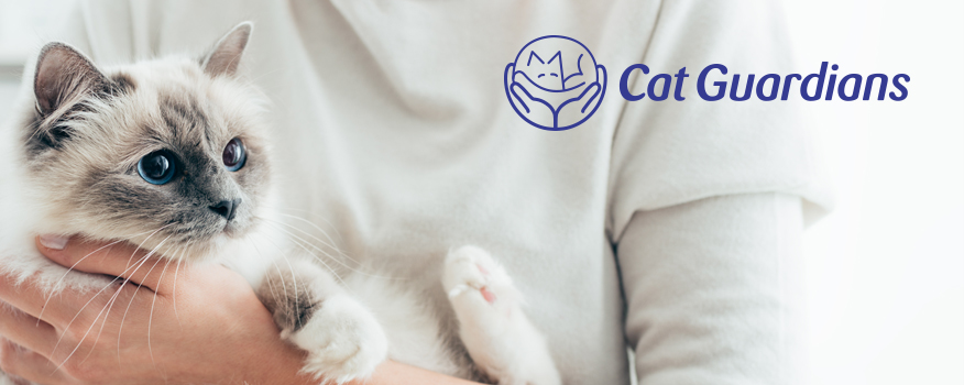Cats Guardians Banner