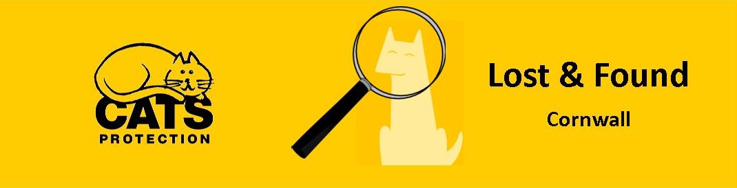 Cats Protection Lost And Found Cornwall Cats Protection Lost And Found Cornwall