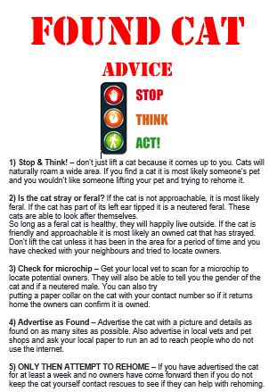 FoundCatAdvice