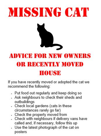MissingCatNewOwnersMoved