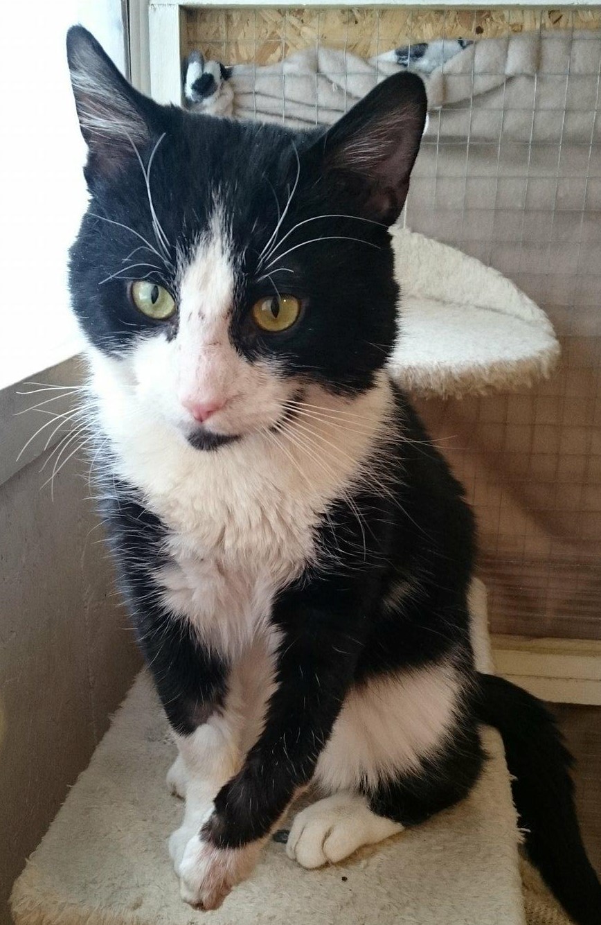 Tom