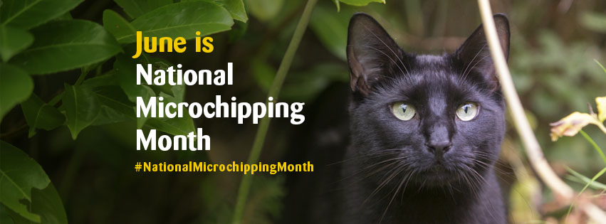 National Microchipping month