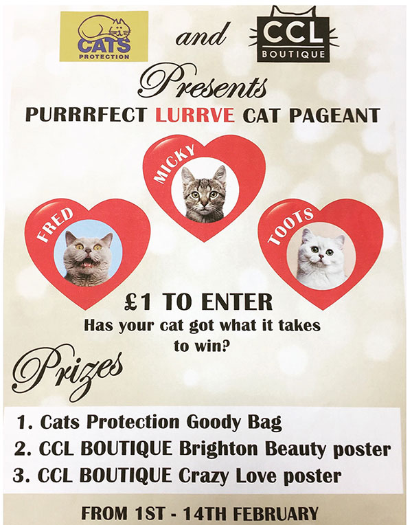 Cats Protection Brighton & District