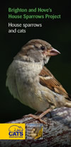 Leaflet