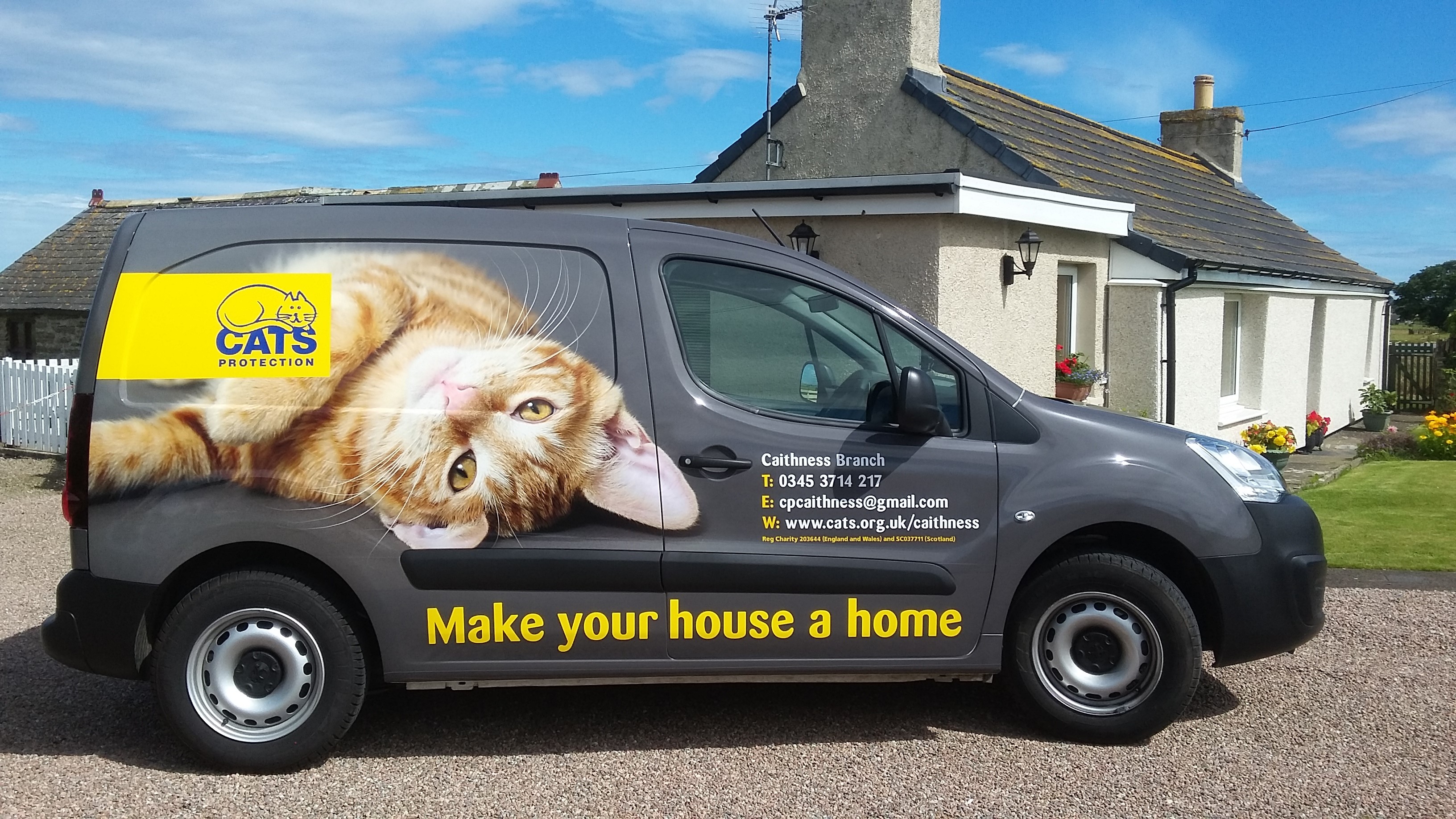 Welcome to Cats Caithness