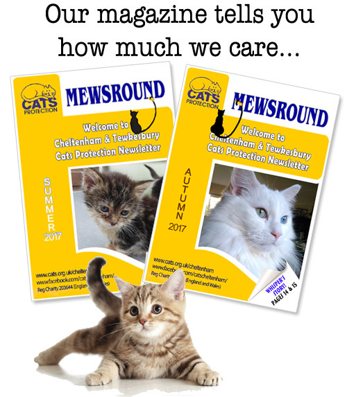 Mewsround - our branch magazine
