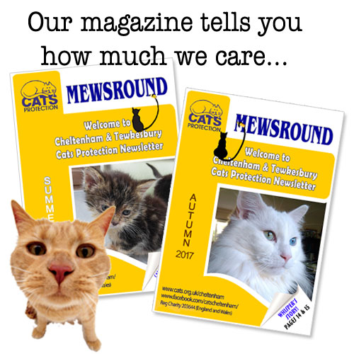 Mewsround magazine