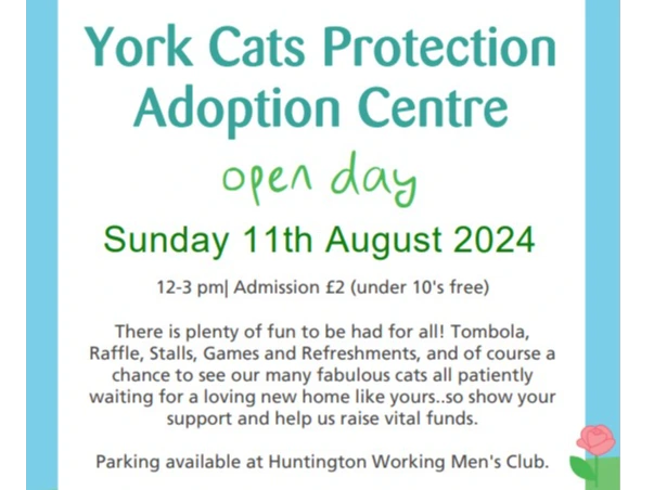 York Cats Protection Open Day