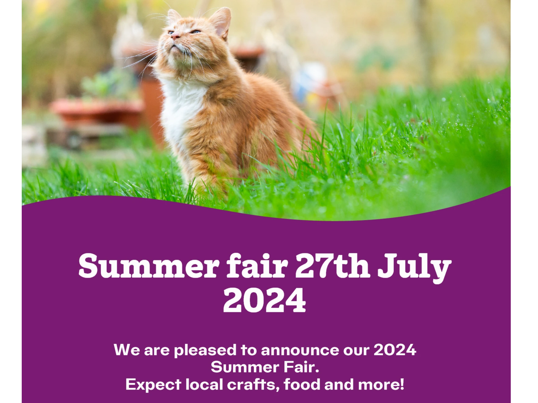 Summer fair event 2024