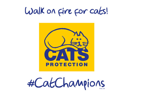 Watch How to Walk Across Red Hot Coals video Watch How to Walk Across Red Hot Coals video