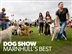 Marnhull Fest Marnhull Fest