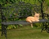 Open Garden 12 Ansell Rd Open Garden 12 Ansell Rd