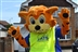 Canvey Carnival Festival of Fun Canvey Carnival Festival of Fun