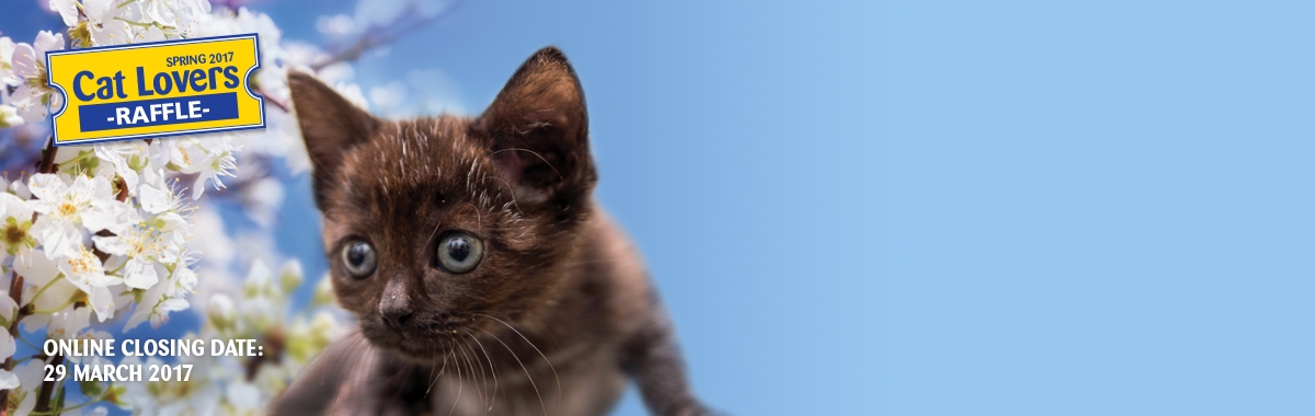 Get your paws on £10,000 this Spring in our raffle.
