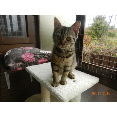 Meet Lucy! Meet Lucy!