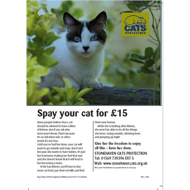 Neutering Campaign 2017 Neutering Campaign 2017