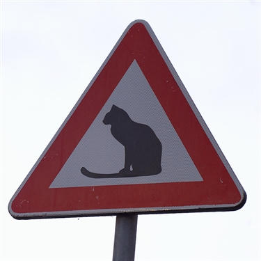 Air Rifle Warning - Priory Park, Dudley
