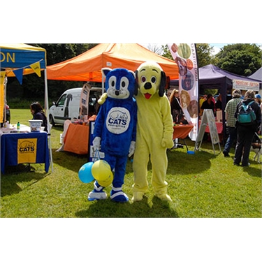 Cats and dogs put differences aside for Dogs Trust family fun day