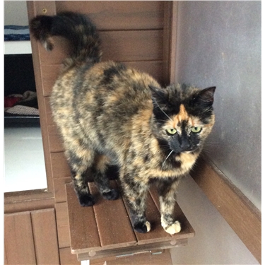 Jayne needs a home! Jayne needs a home!