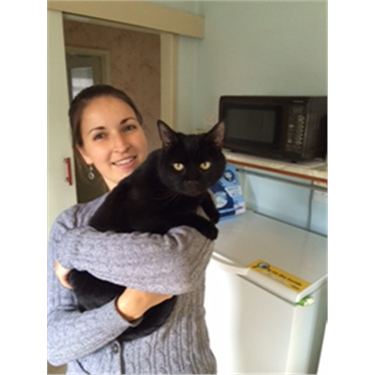 Cats Protection Camberly Cats Protection Camberly