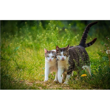 **ASSISTANT BRANCH COORDINATOR NEEDED** **ASSISTANT BRANCH COORDINATOR NEEDED**