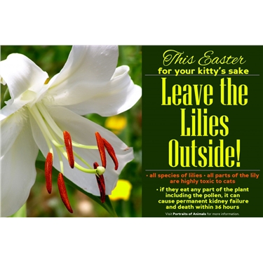 Lethal Lilies Lethal Lilies