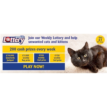 Cats Protection Llanelli Cats Protection Llanelli