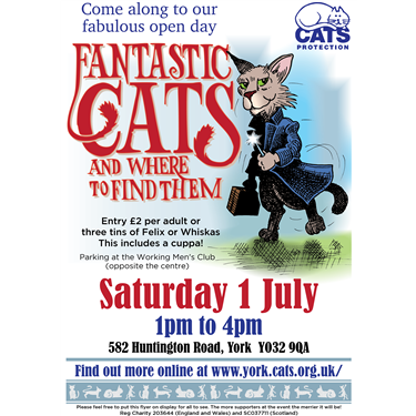 York Cats Protection Adoption Centre Open Day! York Cats Protection Adoption Centre Open Day!