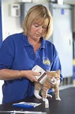 THE MARVELLOUS MAGIC OF THE MICROCHIP ... even The Miracle Microchip!
