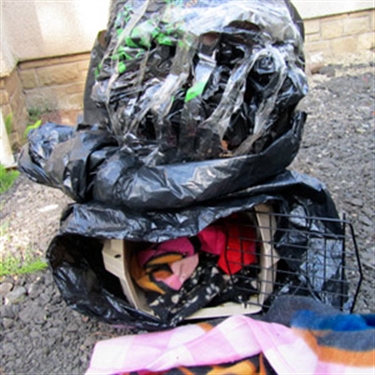 Cat dumped in sealed carrier recovers from ordeal